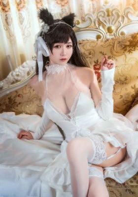 黑狐电视剧全集_1080神马在线观看